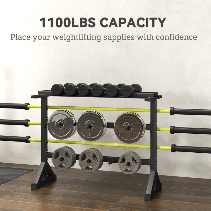 Soozier 1100LBS Capacity Weight Rack, Weight Plate Rack, and Dumbbell Rack for Home Gym Storage