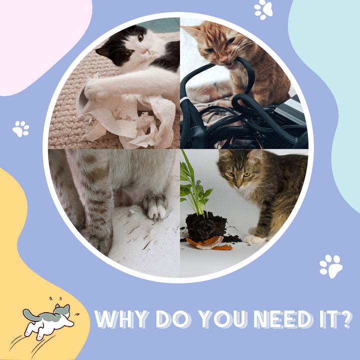 PawHut 39" Long Cat Tunnel, Plush Catio Outdoor Cat Enclosure with Two Caves and Hanging Ball, Cream White